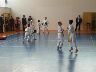 Obrázek 97224 