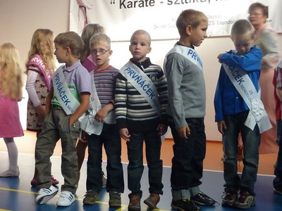 Obrázek 97242 