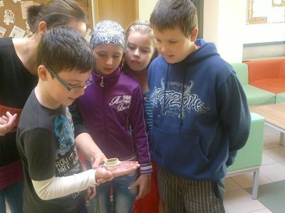 Obrázek 97908 