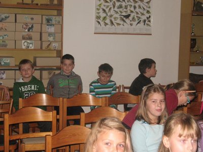 Obrázek 97860 