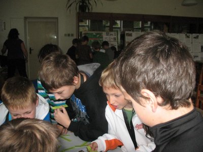 Obrázek 97867 