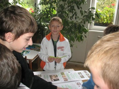 Obrázek 97869 