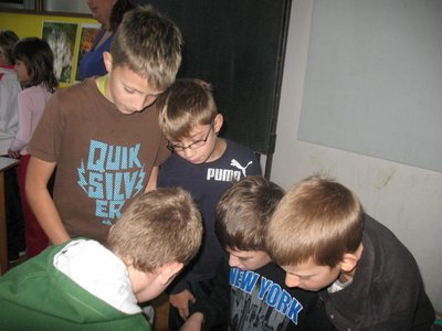 Obrázek 97878 