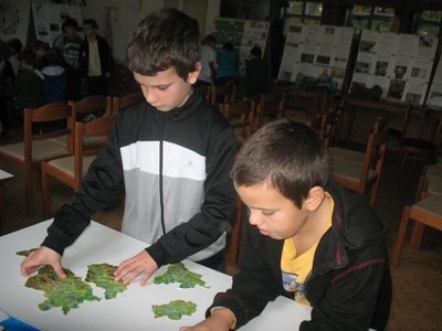 Obrázek 97879 