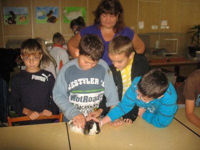 Obrázek 97894 