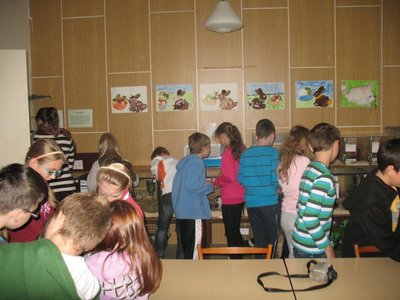 Obrázek 97895 