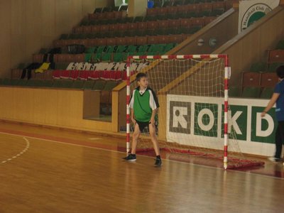 Miniházená   