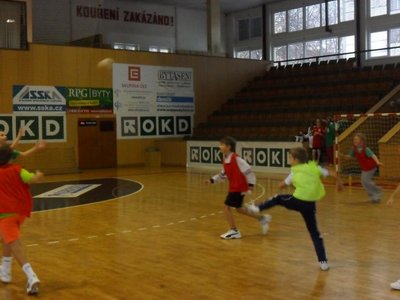 Miniházená