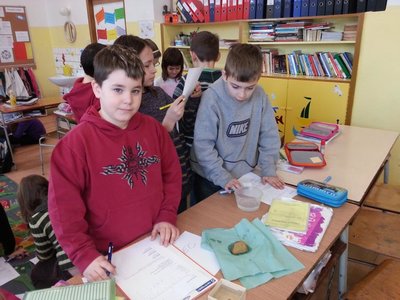 Obrázek 97602 