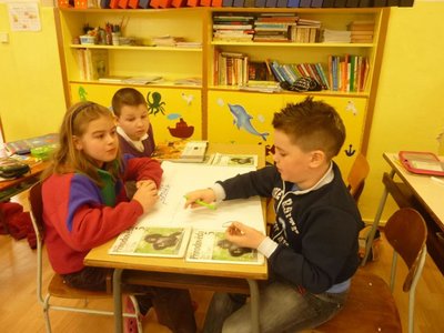 Obrázek 97544 