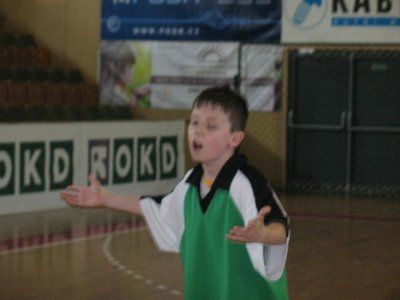 Obrázek 97503 