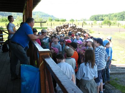 Obrázek 97324 