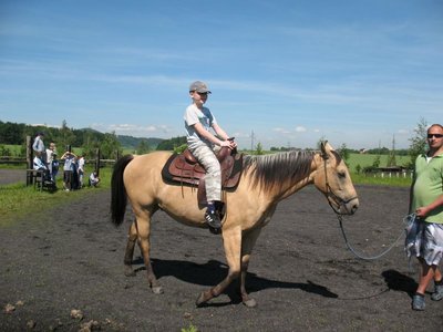 Obrázek 97373 