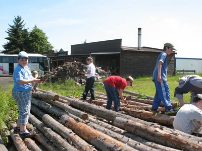 Obrázek 97381 