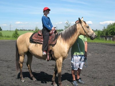 Obrázek 97384 