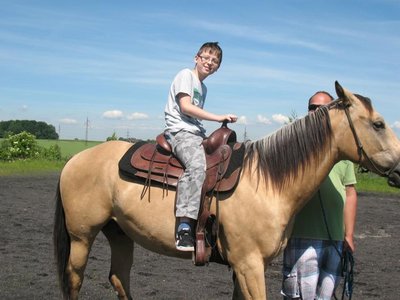 Obrázek 97385 