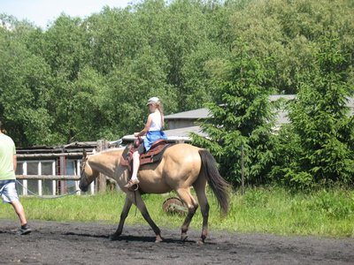Obrázek 97405 