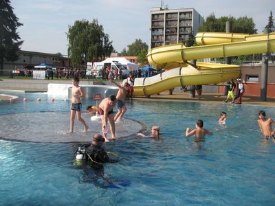 Obrázek 97095 