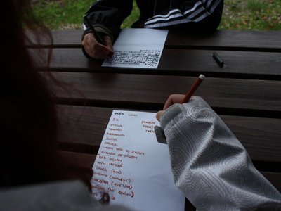 Obrázek 96687 
