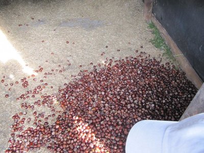 Obrázek 96123 