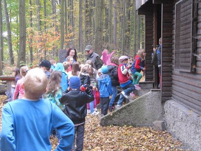 Obrázek 96124 