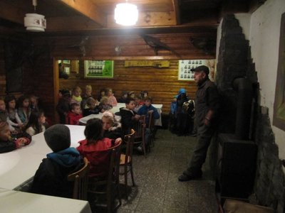 Obrázek 96126 