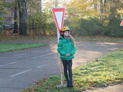 Obrázek 95926 
