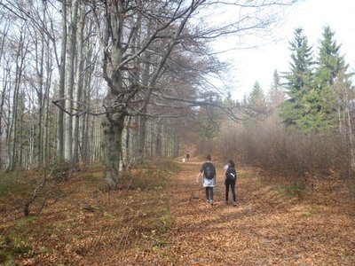 Obrázek 95898 