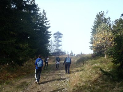 Obrázek 95899 