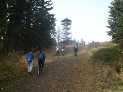 Obrázek 95900 