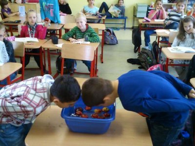 Obrázek 95771 