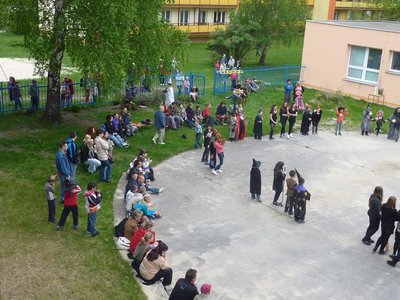 Obrázek 115852 