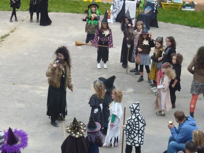 Obrázek 115855 