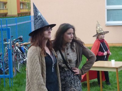 Obrázek 115913 