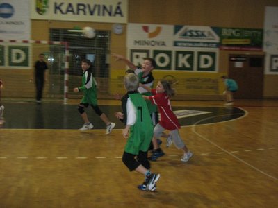Obrázek 95563 