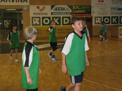 Obrázek 95564 