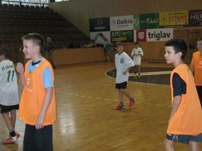 Obrázek 95565 