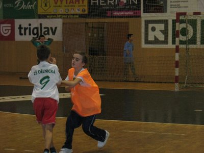 Obrázek 95567 
