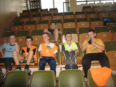 Obrázek 95576 
