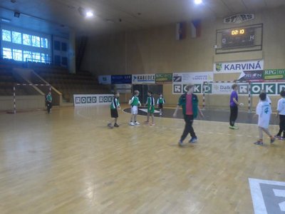 Miniházená