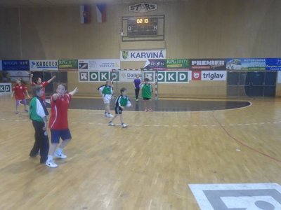 Obrázek 95466 