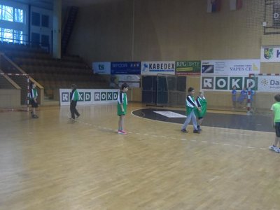 Obrázek 95473 