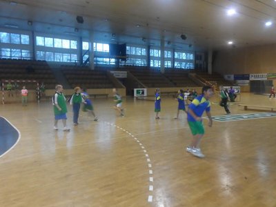 Miniházená