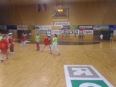 Obrázek 95453 