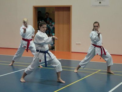 Obrázek 95267 