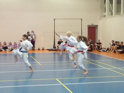 Obrázek 95206 