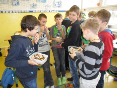 Obrázek 94262 