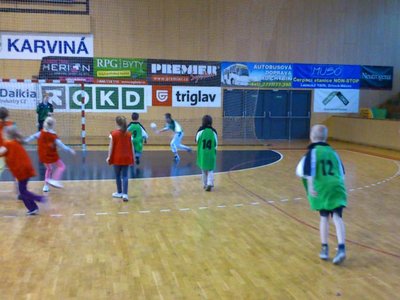 MINIHÁZENÁ
