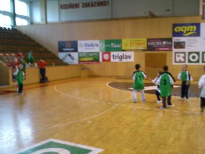 Obrázek 95420 