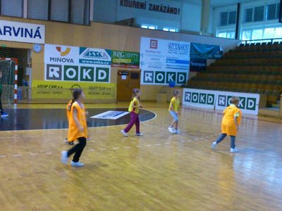 Obrázek 95424 